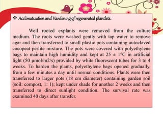  Acclimatization and Hardeningof regenerated plantlets:
Well rooted explants were removed from the culture
medium. The roots were washed gently with tap water to remove
agar and then transferred to small plastic pots containing autoclaved
cocopeat-perlite mixture. The pots were covered with polyethylene
bags to maintain high humidity and kept at 25 ± 1°C in artificial
light (50 μmol/m2/s) provided by white fluorescent tubes for 3 to 4
weeks. To harden the plants, polyethylene bags opened gradually,
from a few minutes a day until normal conditions. Plants were then
transferred to larger pots (18 cm diameter) containing garden soil
(soil: compost, 1: 1); kept under shade for another 2 weeks and then
transferred to direct sunlight condition. The survival rate was
examined 40 days after transfer.
 
