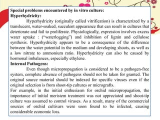 Special problems encountered by in vitro culture:
Hyperhydricity:
Hyperhydricity (originally called vitrification) is characterized by a
translucent, water-soaked, succulent appearance that can result in cultures that
deteriorate and fail to proliferate. Physiologically, expression involves excess
water uptake : (“waterlogging”) and inhibition of lignin and cellulose
synthesis. Hyperhydricity appears to be a consequence of the difference
between the water potential in the medium and developing shoots, as well as
a low nitrate to ammonium ratio. Hyperhydricity can also be caused by
hormonal imbalances, especially ethylene.
Internal Pathogens:
Even though micropropagation is considered to be a pathogen-free
system, complete absence of pathogens should not be taken for granted. The
original source material should be indexed for specific viruses even if the
original selection is from shoot-tip cultures or micrografts.
For example, in the initial enthusiasm for orchid micropropagation, the
importance of initial meristem treatment was not appreciated and shoot-tip
culture was assumed to control viruses. As a result, many of the commercial
sources of orchid cultivars were soon found to be infected, causing
considerable economic loss.
 
