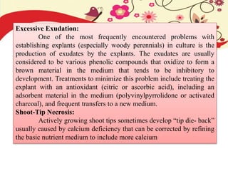 Excessive Exudation:
One of the most frequently encountered problems with
establishing explants (especially woody perennials) in culture is the
production of exudates by the explants. The exudates are usually
considered to be various phenolic compounds that oxidize to form a
brown material in the medium that tends to be inhibitory to
development. Treatments to minimize this problem include treating the
explant with an antioxidant (citric or ascorbic acid), including an
adsorbent material in the medium (polyvinylpyrrolidone or activated
charcoal), and frequent transfers to a new medium.
Shoot-Tip Necrosis:
Actively growing shoot tips sometimes develop “tip die- back”
usually caused by calcium deficiency that can be corrected by refining
the basic nutrient medium to include more calcium
 