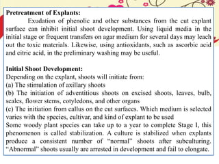 Pretreatment of Explants:
Exudation of phenolic and other substances from the cut explant
surface can inhibit initial shoot development. Using liquid media in the
initial stage or frequent transfers on agar medium for several days may leach
out the toxic materials. Likewise, using antioxidants, such as ascorbic acid
and citric acid, in the preliminary washing may be useful.
Initial Shoot Development:
Depending on the explant, shoots will initiate from:
(a) The stimulation of axillary shoots
(b) The initiation of adventitious shoots on excised shoots, leaves, bulb,
scales, flower stems, cotyledons, and other organs
(c) The initiation from callus on the cut surfaces. Which medium is selected
varies with the species, cultivar, and kind of explant to be used
Some woody plant species can take up to a year to complete Stage I, this
phenomenon is called stabilization. A culture is stabilized when explants
produce a consistent number of “normal” shoots after subculturing.
“Abnormal” shoots usually are arrested in development and fail to elongate.
 
