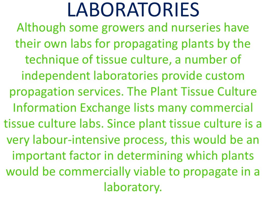 PPT On Tissue Culture Class 10 CBSE Text Book NCERT 