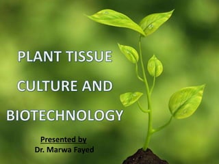 Presented by
Dr. Marwa Fayed
 