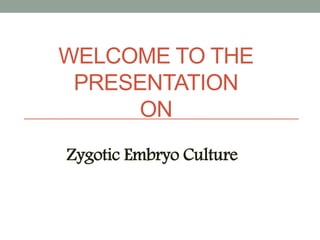 WELCOME TO THE
PRESENTATION
ON
Zygotic Embryo Culture
 