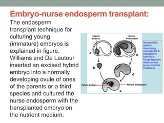Embryo-nurse endosperm transplant:
The endosperm
transplant technique for
culturing young
(immature) embryos is
explained in figure.
Williams and De Lautour
inserted an excised hybrid
embryo into a normally
developing ovule of ones
of the parents or a third
species and cultured the
nurse endosperm with the
transplanted embryo on
the nutrient medium.
 