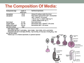 The Composition Of Media:
 