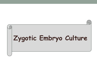 Zygotic Embryo Culture
 