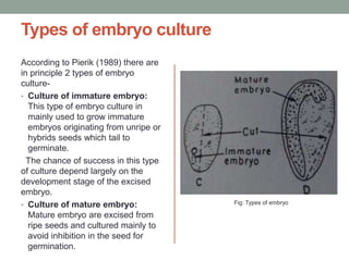 Types of embryo culture
According to Pierik (1989) there are
in principle 2 types of embryo
culture-
• Culture of immature embryo:
This type of embryo culture in
mainly used to grow immature
embryos originating from unripe or
hybrids seeds which tail to
germinate.
The chance of success in this type
of culture depend largely on the
development stage of the excised
embryo.
• Culture of mature embryo:
Mature embryo are excised from
ripe seeds and cultured mainly to
avoid inhibition in the seed for
germination.
Fig: Types of embryo
 
