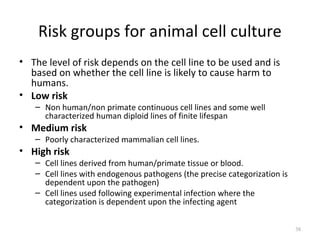 Tissue culture | PPT
