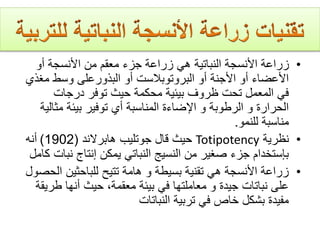 •‫أو‬ ‫األنسجة‬ ‫من‬ ‫معقم‬ ‫جزء‬ ‫زراعة‬ ‫هي‬ ‫النباتية‬ ‫األنسجة‬ ‫زراعة‬
‫مغ‬ ‫وسط‬ ‫البذورعلى‬ ‫أو‬ ‫البروتوبالست‬ ‫أو‬ ‫األجنة‬ ‫أو‬ ‫األعضاء‬‫ذي‬
‫درجات‬ ‫توفر‬ ‫حيث‬ ‫محكمة‬ ‫بيئية‬ ‫ظروف‬ ‫تحت‬ ‫المعمل‬ ‫في‬
‫مث‬ ‫بيئة‬ ‫توفير‬ ‫أي‬ ‫المناسبة‬ ‫اإلضاءة‬ ‫و‬ ‫الرطوبة‬ ‫و‬ ‫الحرارة‬‫الية‬
‫للنمو‬ ‫مناسبة‬.
•‫نظرية‬Totipotency‫هابرالند‬ ‫جوتليب‬ ‫قال‬ ‫حيث‬(1902)‫أنه‬
‫نب‬ ‫إنتاج‬ ‫يمكن‬ ‫النباتي‬ ‫النسيج‬ ‫من‬ ‫صغير‬ ‫جزء‬ ‫بإستخدام‬‫كامل‬ ‫ات‬
•‫ا‬ ‫للباحثين‬ ‫تتيح‬ ‫هامة‬ ‫و‬ ‫بسيطة‬ ‫تقنية‬ ‫هي‬ ‫األنسجة‬ ‫زراعة‬‫لحصول‬
‫طر‬ ‫أنها‬ ‫حيث‬ ،‫معقمة‬ ‫بيئة‬ ‫في‬ ‫معاملتها‬ ‫و‬ ‫جيدة‬ ‫نباتات‬ ‫على‬‫يقة‬
‫النباتات‬ ‫تربية‬ ‫في‬ ‫خاص‬ ‫بشكل‬ ‫مفيدة‬
 