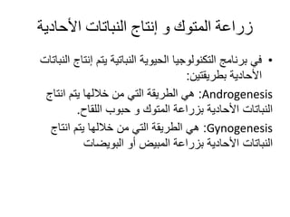 ‫األحادية‬ ‫النباتات‬ ‫إنتاج‬ ‫و‬ ‫المتوك‬ ‫زراعة‬
•‫إنت‬ ‫يتم‬ ‫النباتية‬ ‫الحيوية‬ ‫التكنولوجيا‬ ‫برنامج‬ ‫في‬‫النباتات‬ ‫اج‬
‫بطريقتين‬ ‫األحادية‬:
Androgenesis:‫انتاج‬ ‫يتم‬ ‫خاللها‬ ‫من‬ ‫التي‬ ‫الطريقة‬ ‫هي‬
‫اللقاح‬ ‫حبوب‬ ‫و‬ ‫المتوك‬ ‫بزراعة‬ ‫األحادية‬ ‫النباتات‬.
Gynogenesis:‫انتاج‬ ‫يتم‬ ‫خاللها‬ ‫من‬ ‫التي‬ ‫الطريقة‬ ‫هي‬
‫النباتات‬‫البويضات‬ ‫أو‬ ‫المبيض‬ ‫بزراعة‬ ‫األحادية‬
 