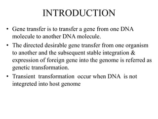 INTRODUCTION
• Gene transfer is to transfer a gene from one DNA
molecule to another DNA molecule.
• The directed desirable gene transfer from one organism
to another and the subsequent stable integration &
expression of foreign gene into the genome is referred as
genetic transformation.
• Transient transformation occur when DNA is not
integreted into host genome
 