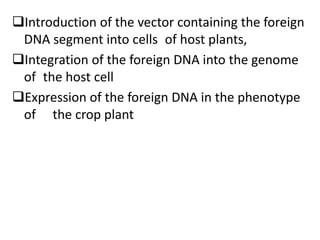 Introduction of the vector containing the foreign
DNA segment into cells of host plants,
Integration of the foreign DNA into the genome
of the host cell
Expression of the foreign DNA in the phenotype
of the crop plant
 