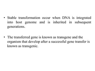 • Stable transformation occur when DNA is integrated
into host genome and is inherited in subsequent
generations.
• The transferred gene is known as transgene and the
organism that develop after a successful gene transfer is
known as transgenic.
 