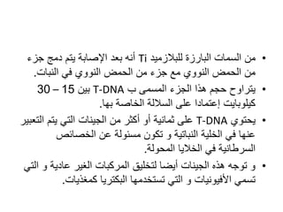 •‫للبالزميد‬ ‫البارزة‬ ‫السمات‬ ‫من‬Ti‫جزء‬ ‫دمج‬ ‫يتم‬ ‫اإلصابة‬ ‫بعد‬ ‫أنه‬
‫النبات‬ ‫في‬ ‫النووي‬ ‫الحمض‬ ‫من‬ ‫جزء‬ ‫مع‬ ‫النووي‬ ‫الحمض‬ ‫من‬.
•‫ب‬ ‫المسمى‬ ‫الجزء‬ ‫هذا‬ ‫حجم‬ ‫يتراوح‬T-DNA‫بين‬15–30
‫بها‬ ‫الخاصة‬ ‫الساللة‬ ‫على‬ ‫إعتمادا‬ ‫كيلوبايت‬.
•‫يحتوي‬T-DNA‫ال‬ ‫يتم‬ ‫التي‬ ‫الجينات‬ ‫من‬ ‫أكثر‬ ‫أو‬ ‫ثمانية‬ ‫على‬‫تعبير‬
‫الخصائص‬ ‫عن‬ ‫مسئولة‬ ‫تكون‬ ‫و‬ ‫النباتية‬ ‫الخلية‬ ‫في‬ ‫عنها‬
‫المحولة‬ ‫الخاليا‬ ‫في‬ ‫السرطانية‬.
•‫و‬ ‫عادية‬ ‫الغير‬ ‫المركبات‬ ‫لتخليق‬ ‫أيضا‬ ‫الجينات‬ ‫هذه‬ ‫توجه‬ ‫و‬‫التي‬
‫كمغذيات‬ ‫البكتريا‬ ‫تستخدمها‬ ‫التي‬ ‫و‬ ‫األفيونيات‬ ‫تسمي‬.
 