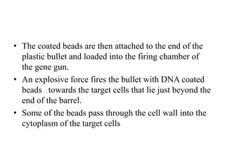 • The coated beads are then attached to the end of the
plastic bullet and loaded into the firing chamber of
the gene gun.
• An explosive force fires the bullet with DNA coated
beads towards the target cells that lie just beyond the
end of the barrel.
• Some of the beads pass through the cell wall into the
cytoplasm of the target cells
 