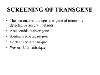 SCREENING OF TRANSGENE
• The presence of transgene or gene of interest is
detected by several methods:
• A selectable marker gene
• Southern blot techniques
• Northern bolt technique
• Western blot technique
 
