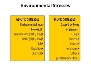 Environmental Stresses
 