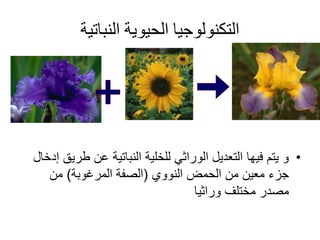 ‫النباتية‬ ‫الحيوية‬ ‫التكنولوجيا‬
•‫طر‬ ‫عن‬ ‫النباتية‬ ‫للخلية‬ ‫الوراثي‬ ‫التعديل‬ ‫فيها‬ ‫يتم‬ ‫و‬‫إدخال‬ ‫يق‬
‫النووي‬ ‫الحمض‬ ‫من‬ ‫معين‬ ‫جزء‬(‫المرغوبة‬ ‫الصفة‬)‫من‬
‫وراثيا‬ ‫مختلف‬ ‫مصدر‬
 