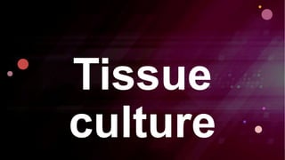 Tissue
culture
 
