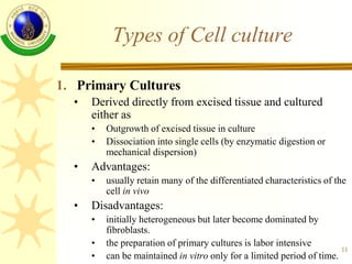 11
Types of Cell culture
1. Primary Cultures
• Derived directly from excised tissue and cultured
either as
• Outgrowth of ...
