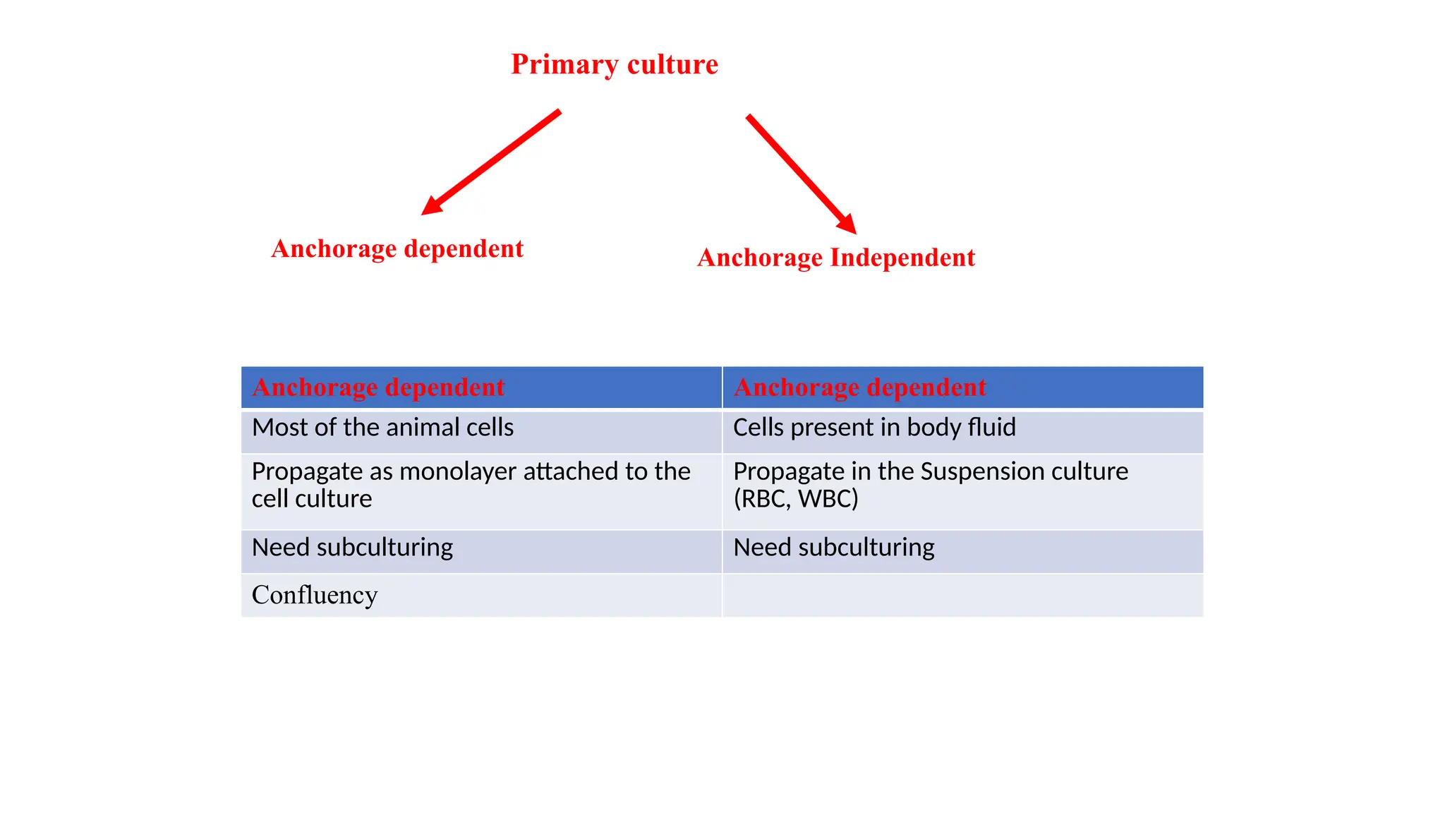 Primary culture
Anchorage dependent Anchorage Independent
Anchorage dependent Anchorage dependent
Most of the animal cells Cells present in body fluid
Propagate as monolayer attached to the
cell culture
Propagate in the Suspension culture
(RBC, WBC)
Need subculturing Need subculturing
Confluency
 