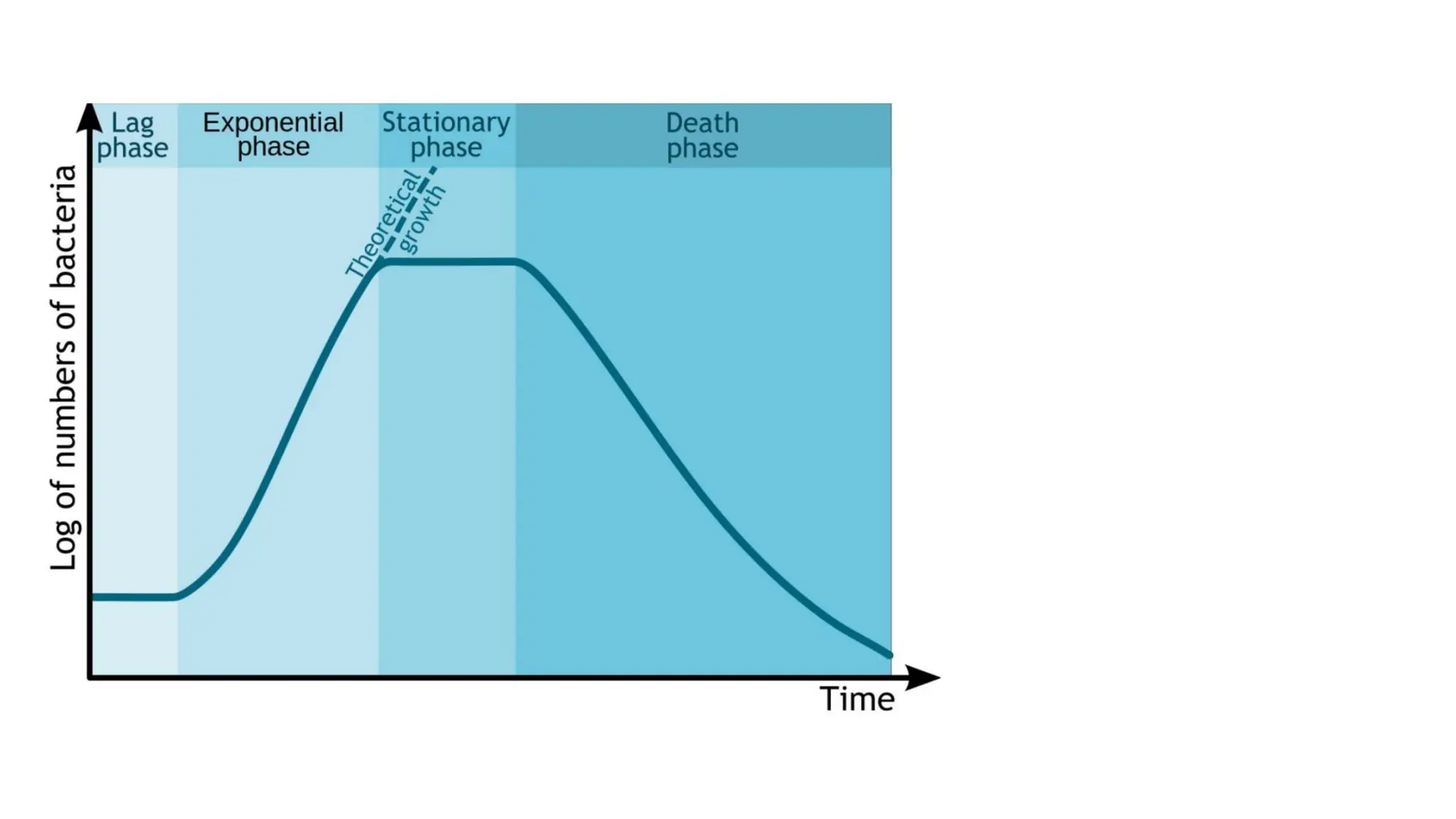 Tissue Culture overview for dbt jrf net.pptx