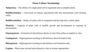 Comprehensive Overview of Plant Tissue Culture and Its Applications in ...