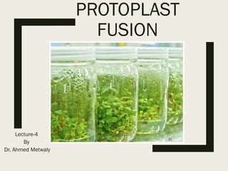 Lecture-4
By
Dr. Ahmed Metwaly
PROTOPLAST
FUSION
 
