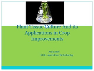 Plant Tissue Culture And its
Applications in Crop
Improvements
Arun patel
M.Sc- Agriculture Biotechnolgy
 