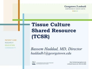 Tissue Culture Shared Resource (TCSR) Bassem Haddad, MD, Director [email_address] 