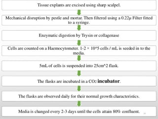 Comprehensive Overview of Animal Cell Culture: Techniques and ...