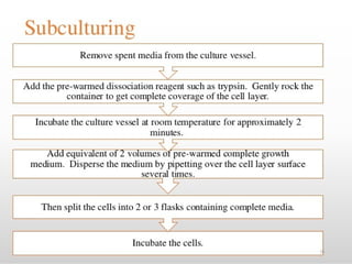 Comprehensive Overview of Animal Cell Culture: Techniques and ...