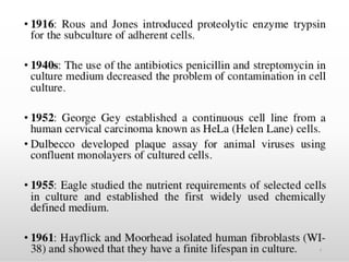 Comprehensive Overview of Animal Cell Culture: Techniques and ...