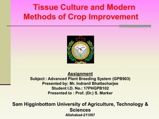 Assignment
Subject : Advanced Plant Breeding System (GPB903)
Presented by: Mr. Indranil Bhattacharjee
Student I.D. No.: 17PHGPB102
Presented to : Prof. (Dr.) S. Marker
Sam Higginbottom University of Agriculture, Technology &
Sciences
Allahabad-211007
Tissue Culture and Modern
Methods of Crop Improvement
 