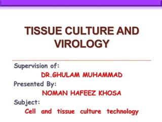 TISSUE CULTURE AND
VIROLOGY
Supervision of:
DR.GHULAM MUHAMMAD
Presented By:
NOMAN HAFEEZ KHOSA
Subject:
Cell and tissue culture technology
 