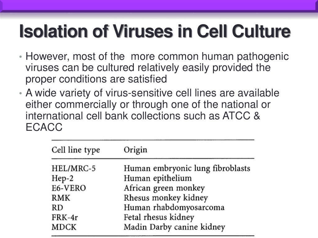 Tissue culture and virology (cpe, plaque assay)