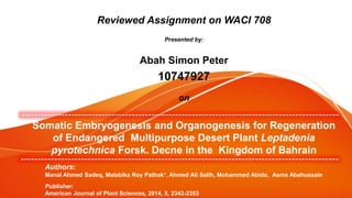 Authors:
Manal Ahmed Sadeq, Malabika Roy Pathak*, Ahmed Ali Salih, Mohammed Abido, Asma Abahussain
Publisher:
American Journal of Plant Sciences, 2014, 5, 2342-2353
Reviewed Assignment on WACI 708
Presented by:
Abah Simon Peter
10747927
on
Somatic Embryogenesis and Organogenesis for Regeneration
of Endangered Multipurpose Desert Plant Leptadenia
pyrotechnica Forsk. Decne in the Kingdom of Bahrain
 