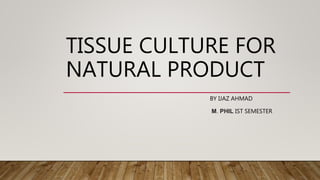 TISSUE CULTURE FOR
NATURAL PRODUCT
BY IJAZ AHMAD
M. PHIL IST SEMESTER
 