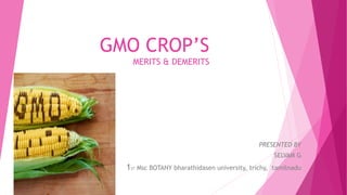 GMO CROP’S
MERITS & DEMERITS
PRESENTED BY
SELVAM G
1ST Msc BOTANY bharathidasen university, trichy, tamilnadu
 