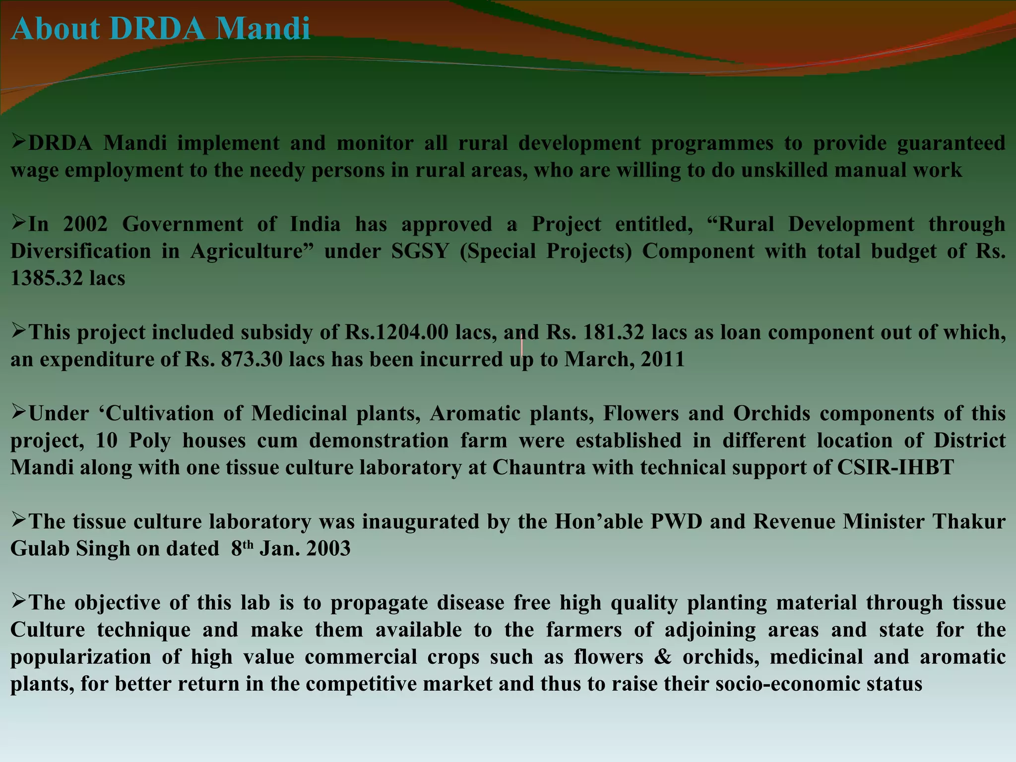 About DRDA Mandi


DRDA Mandi implement and monitor all rural development programmes to provide guaranteed
wage employment to the needy persons in rural areas, who are willing to do unskilled manual work

In 2002 Government of India has approved a Project entitled, “Rural Development through
Diversification in Agriculture” under SGSY (Special Projects) Component with total budget of Rs.
1385.32 lacs

This project included subsidy of Rs.1204.00 lacs, and Rs. 181.32 lacs as loan component out of which,
an expenditure of Rs. 873.30 lacs has been incurred up to March, 2011

Under ‘Cultivation of Medicinal plants, Aromatic plants, Flowers and Orchids components of this
project, 10 Poly houses cum demonstration farm were established in different location of District
Mandi along with one tissue culture laboratory at Chauntra with technical support of CSIR-IHBT

The tissue culture laboratory was inaugurated by the Hon’able PWD and Revenue Minister Thakur
Gulab Singh on dated 8th Jan. 2003

The objective of this lab is to propagate disease free high quality planting material through tissue
Culture technique and make them available to the farmers of adjoining areas and state for the
popularization of high value commercial crops such as flowers & orchids, medicinal and aromatic
plants, for better return in the competitive market and thus to raise their socio-economic status
 