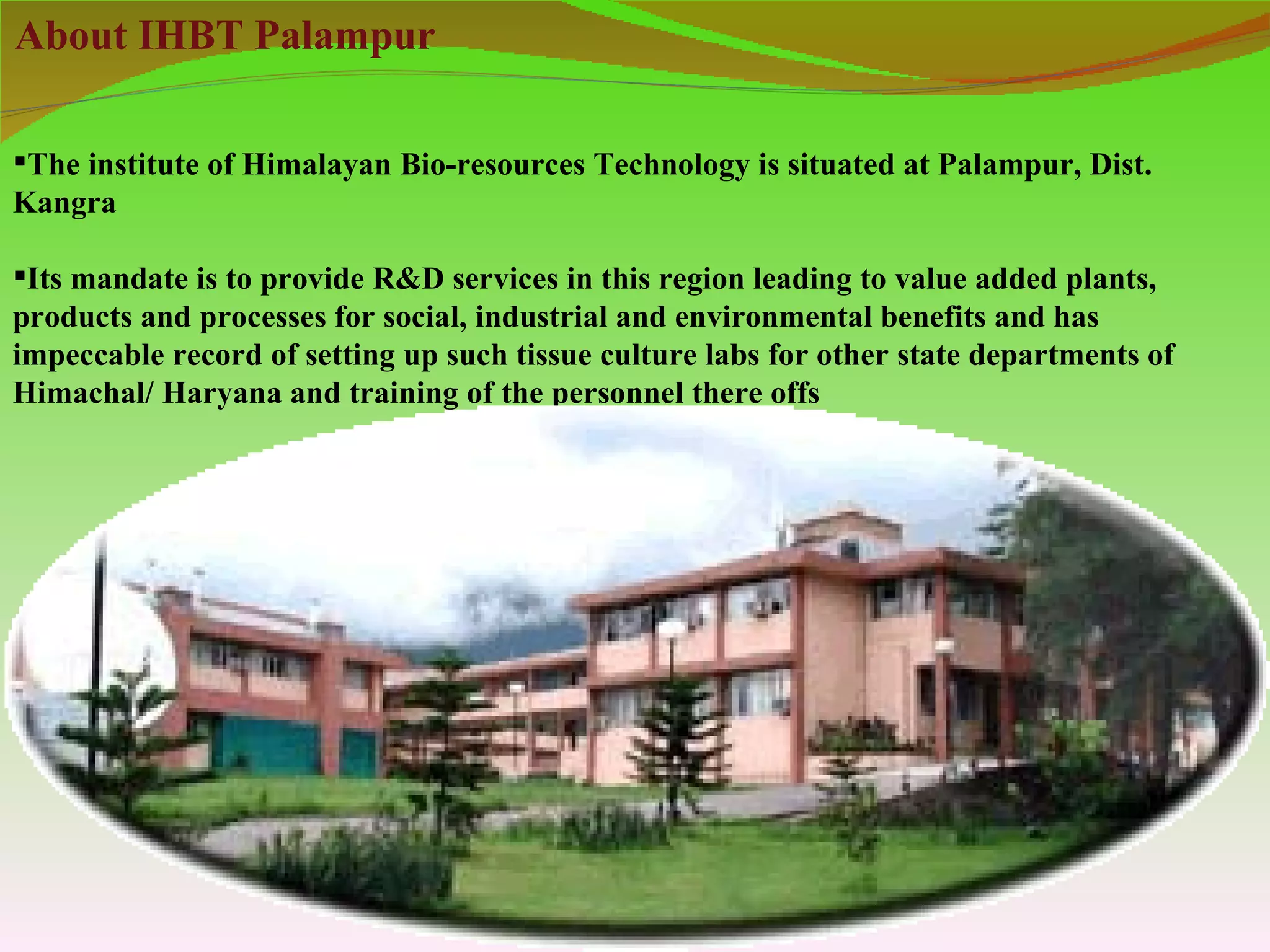 About IHBT Palampur

The institute of Himalayan Bio-resources Technology is situated at Palampur, Dist.
Kangra

Its mandate is to provide R&D services in this region leading to value added plants,
products and processes for social, industrial and environmental benefits and has
impeccable record of setting up such tissue culture labs for other state departments of
Himachal/ Haryana and training of the personnel there offs
 