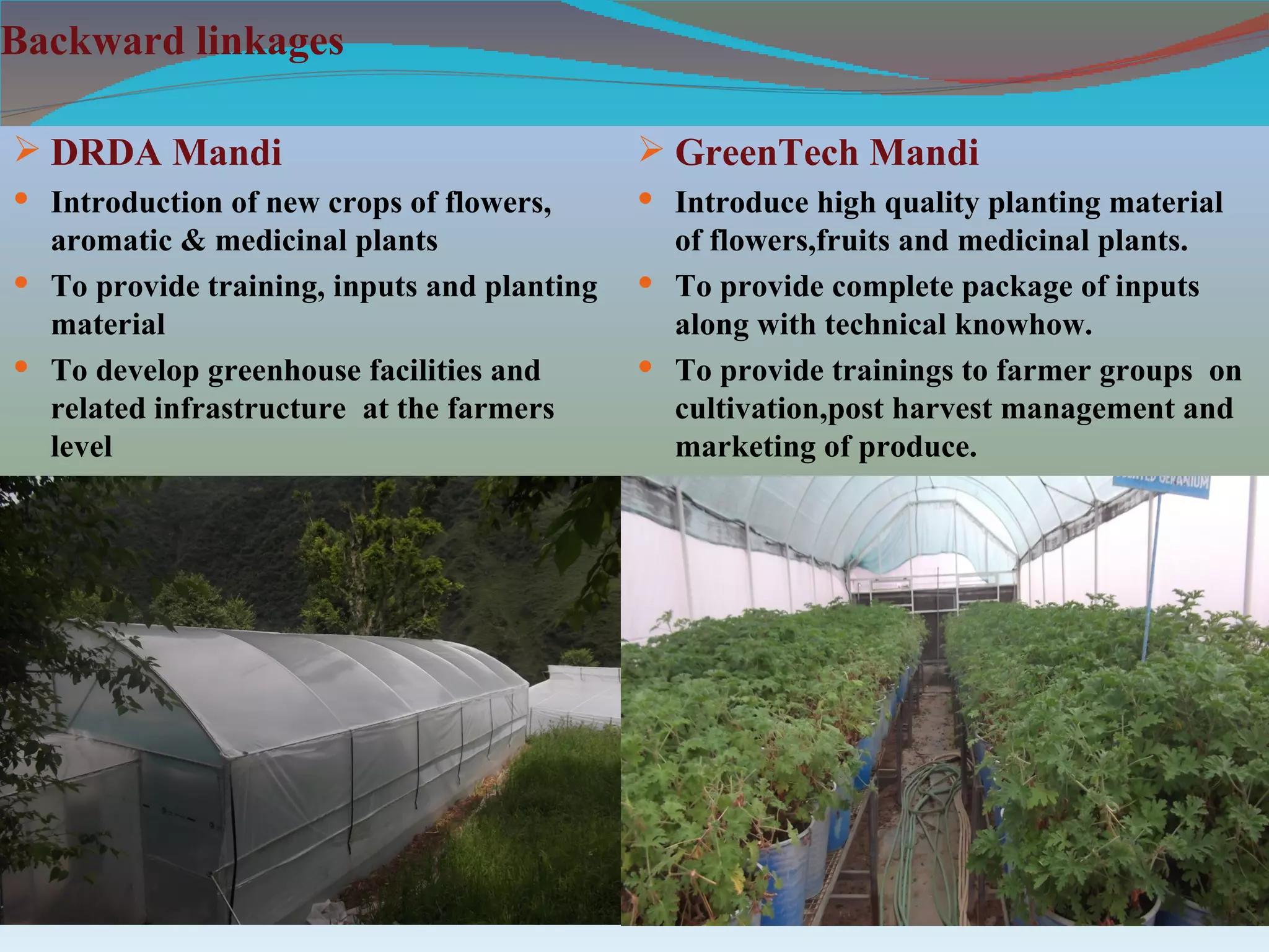 Backward linkages

 DRDA Mandi                                  GreenTech Mandi
 Introduction of new crops of flowers,       Introduce high quality planting material
  aromatic & medicinal plants                  of flowers,fruits and medicinal plants.
 To provide training, inputs and planting    To provide complete package of inputs
  material                                     along with technical knowhow.
 To develop greenhouse facilities and        To provide trainings to farmer groups on
  related infrastructure at the farmers        cultivation,post harvest management and
  level                                        marketing of produce.
 