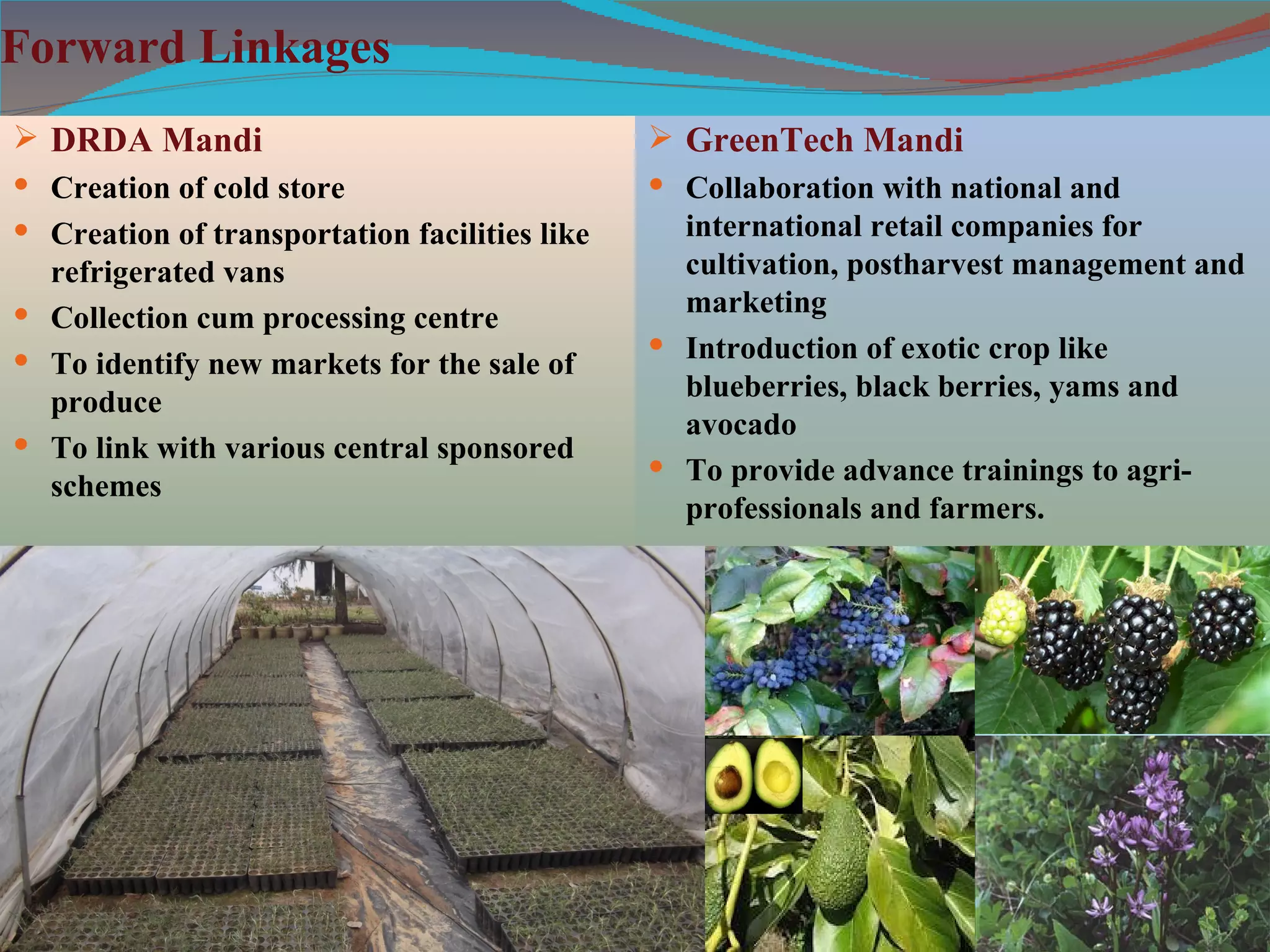 Forward Linkages
 DRDA Mandi                                    GreenTech Mandi
 Creation of cold store                        Collaboration with national and
 Creation of transportation facilities like     international retail companies for
  refrigerated vans                              cultivation, postharvest management and
 Collection cum processing centre               marketing
                                                Introduction of exotic crop like
 To identify new markets for the sale of
  produce                                        blueberries, black berries, yams and
                                                 avocado
 To link with various central sponsored
                                                To provide advance trainings to agri-
  schemes
                                                 professionals and farmers.
 