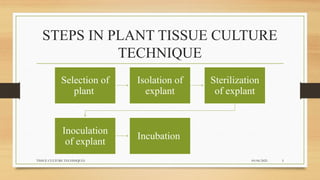 TISSUECULTURETECHNIQUESssssssss (1).pptx