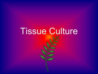 Tissue Culture
 
