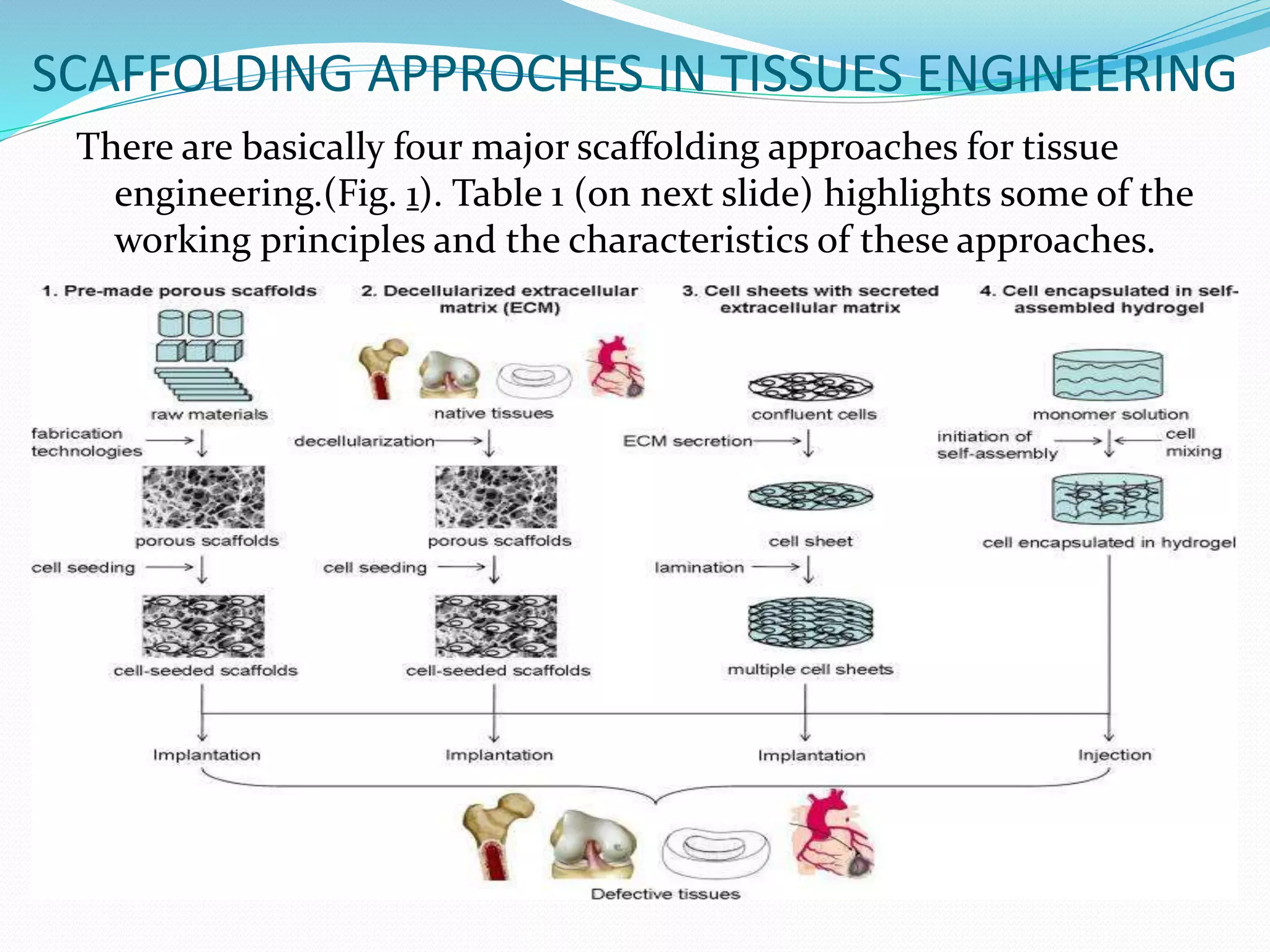 SCAFFOLDING APPROCHES IN TISSUES ENGINEERING
There are basically four major scaffolding approaches for tissue
engineering.(Fig. 1). Table 1 (on next slide) highlights some of the
working principles and the characteristics of these approaches.
 