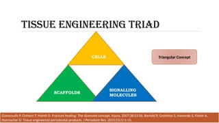 TISSUE ENGINEERING TRIAD
CELLS
SCAFFOLDS
SIGNALLING
MOLECULES
Giannoudis P, Einhorn T, Marsh D. Fracture healing: The diamond concept. Injury. 2007;38:S3-S6. Bartold P, Gronthos S, Ivanovski S, Fisher A,
Hutmacher D. Tissue engineered periodontal products. J Periodont Res. 2015;51(1):1-15.
Triangular Concept
 