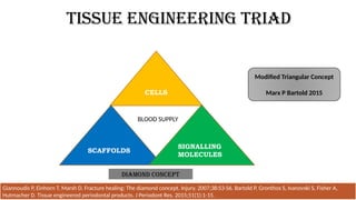 TISSUE ENGINEERING TRIAD
CELLS
SCAFFOLDS
SIGNALLING
MOLECULES
Giannoudis P, Einhorn T, Marsh D. Fracture healing: The diamond concept. Injury. 2007;38:S3-S6. Bartold P, Gronthos S, Ivanovski S, Fisher A,
Hutmacher D. Tissue engineered periodontal products. J Periodont Res. 2015;51(1):1-15.
BLOOD SUPPLY
Modified Triangular Concept
Marx P Bartold 2015
Diamond Concept
 