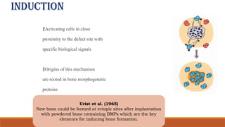 INDUCTION
‡Activating cells in close
proximity to the defect site with
specific biological signals
‡Origins of this mechanism
are rooted in bone morphogenetic
proteins
Urist et al. (1965)
New bone could be formed at ectopic sites after implantation
with powdered bone containing BMPs which are the key
elements for inducing bone formation.
 