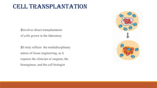 Cell transplantation
‡Involves direct transplantation
of cells grown in the laboratory
‡It truly reflects the multidisciplinary
nature of tissue engineering, as it
requires the clinician or surgeon, the
bioengineer, and the cell biologist
 